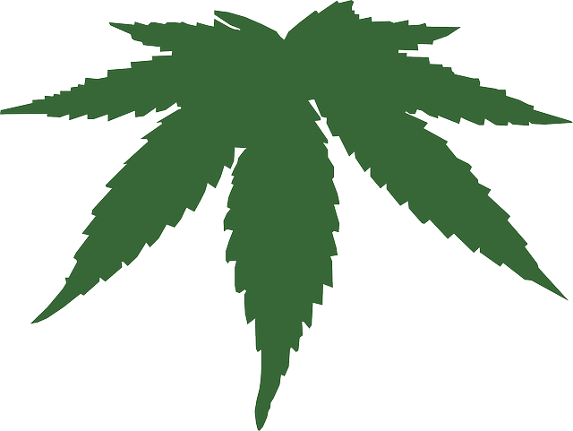 Hemp products